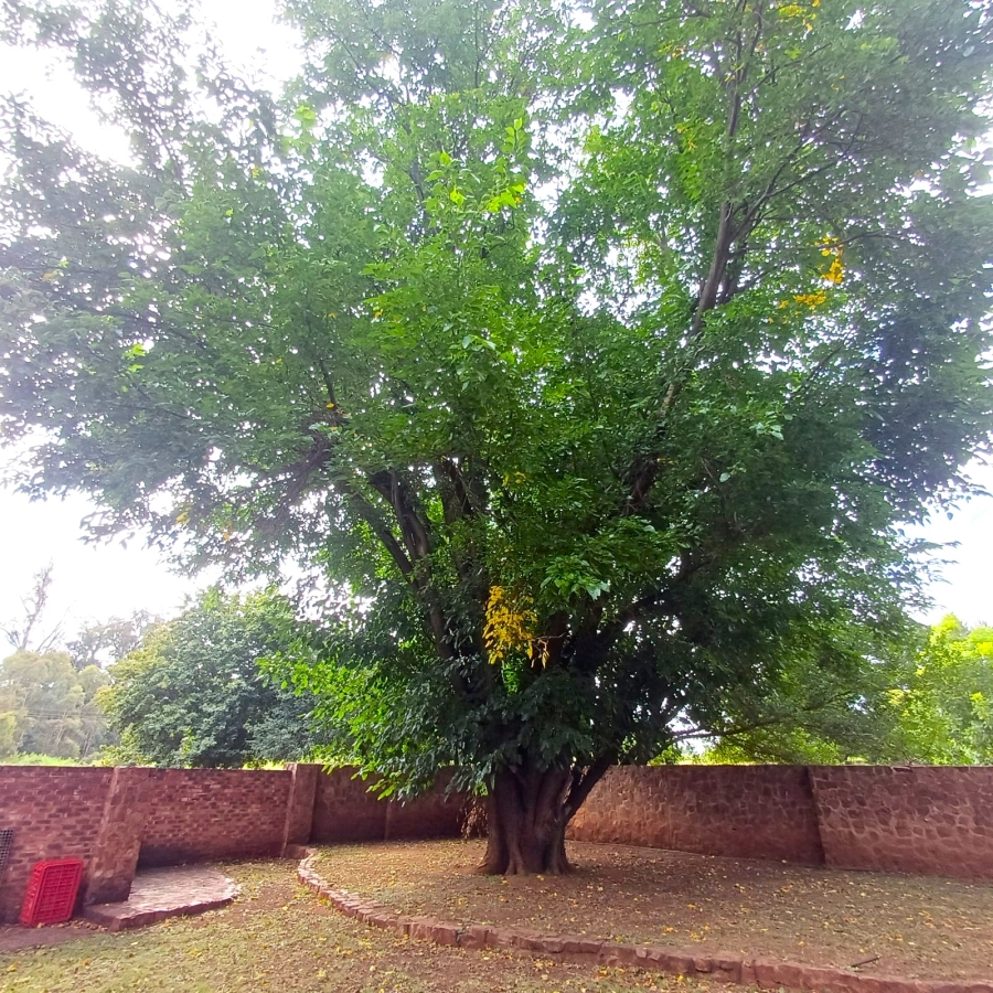 4 Bedroom Property for Sale in Sherman Park Gauteng