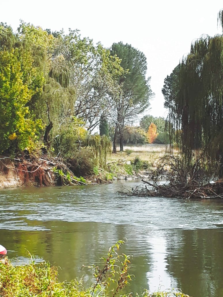 4 Bedroom Property for Sale in Sherman Park Gauteng