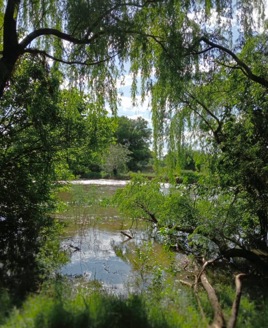 4 Bedroom Property for Sale in Sherman Park Gauteng