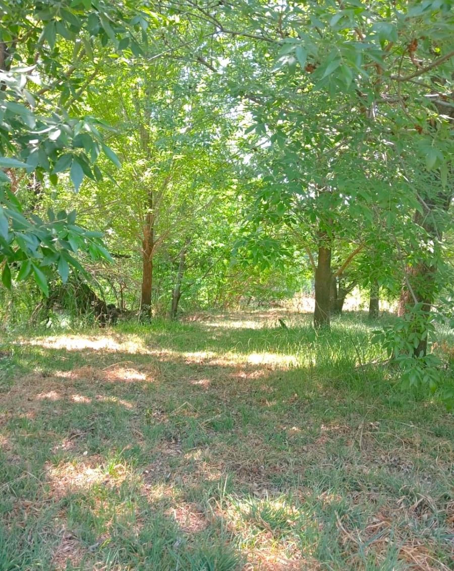 4 Bedroom Property for Sale in Sherman Park Gauteng