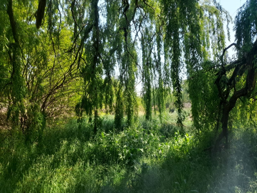 4 Bedroom Property for Sale in Sherman Park Gauteng