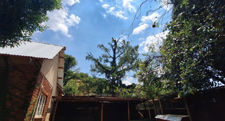 4 Bedroom Property for Sale in Sonland Park Gauteng