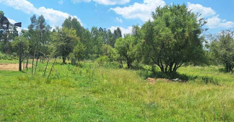 4 Bedroom Property for Sale in Sonland Park Gauteng