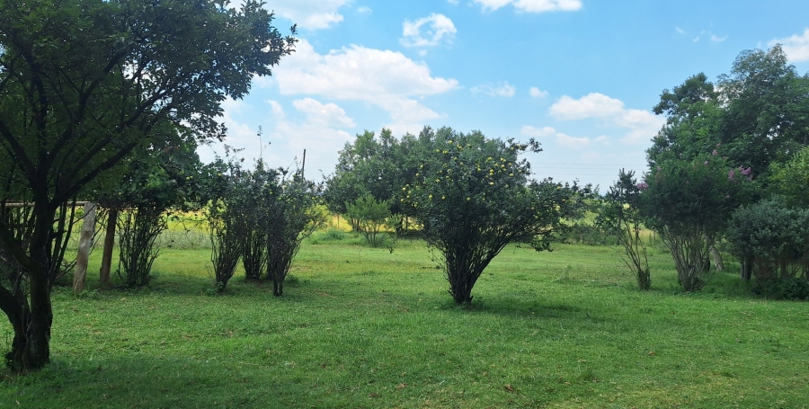 4 Bedroom Property for Sale in Sonland Park Gauteng