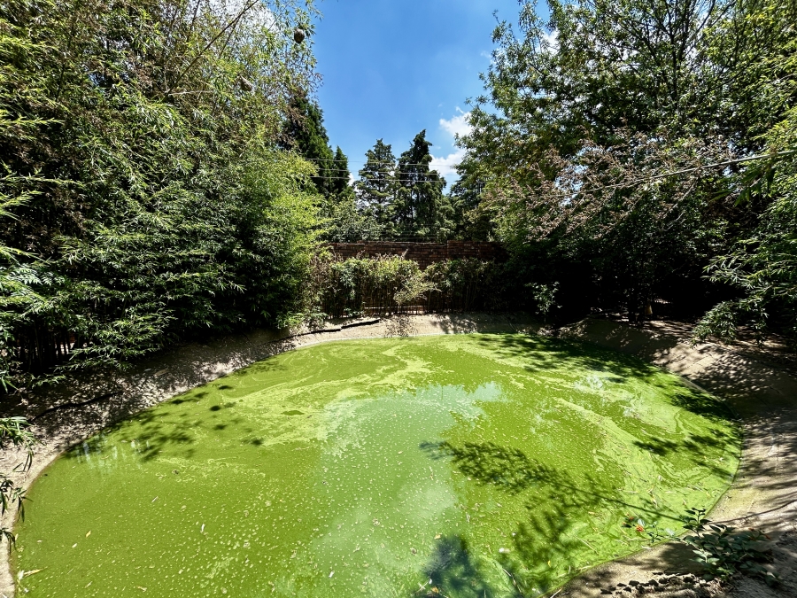 12 Bedroom Property for Sale in Glen Austin Gauteng