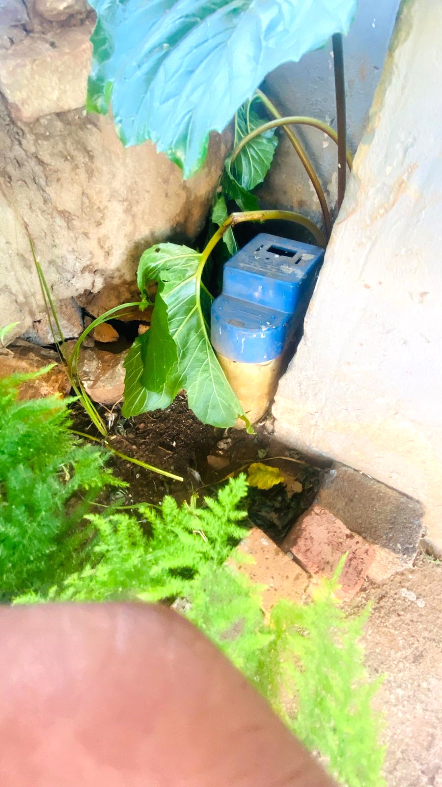 6 Bedroom Property for Sale in Zonkezizwe Gauteng