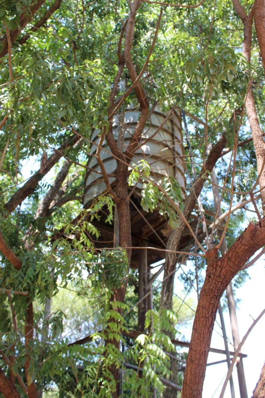 7 Bedroom Property for Sale in Swacina Park A H Gauteng