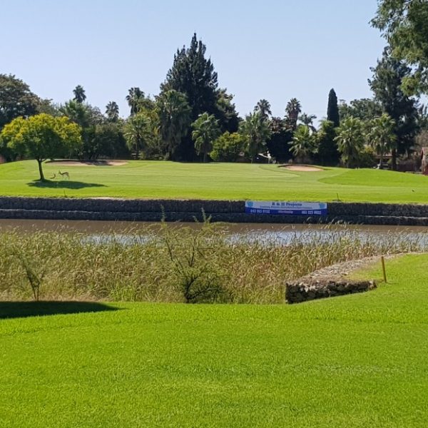 0 Bedroom Property for Sale in Theresa Park Gauteng