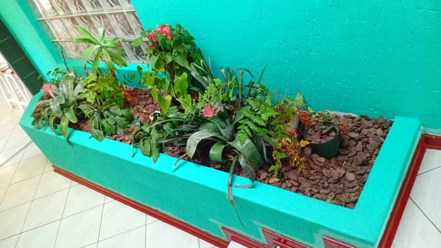 5 Bedroom Property for Sale in Walker Fruit Farms Gauteng