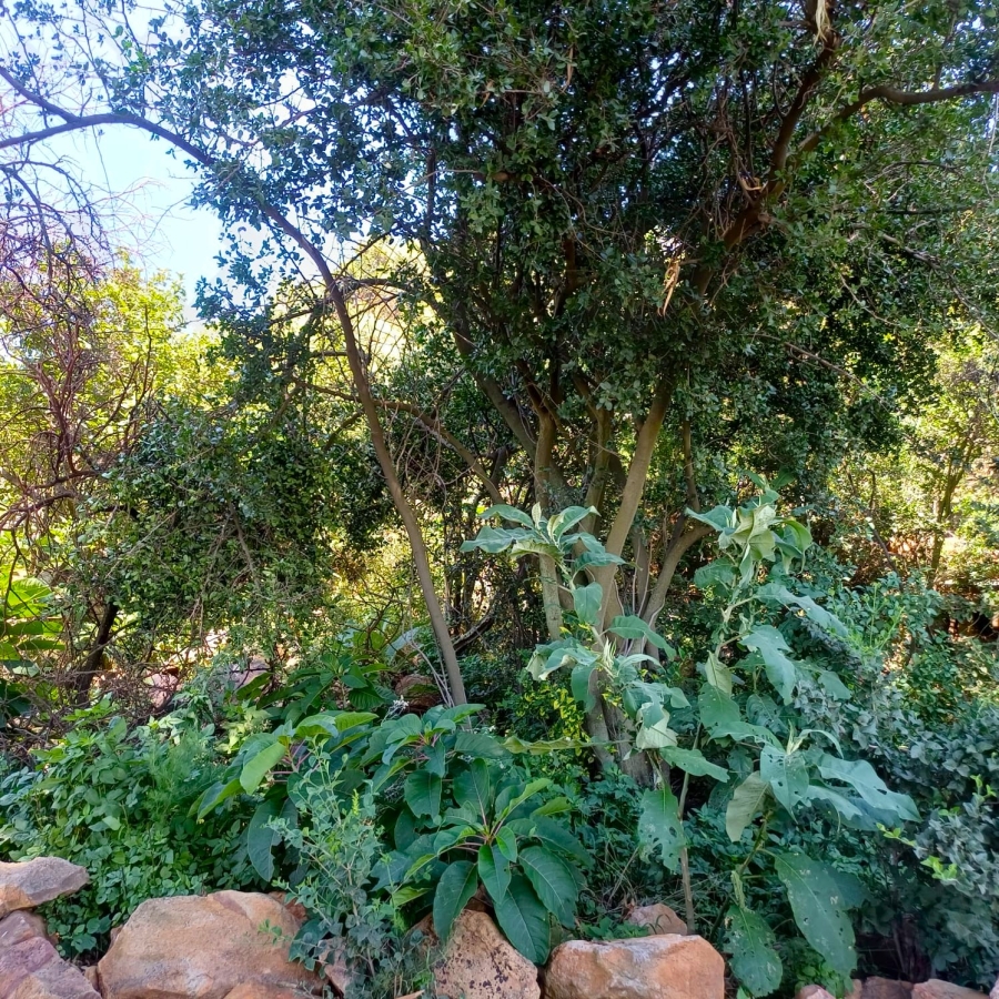 5 Bedroom Property for Sale in Sterkfontein A H Gauteng