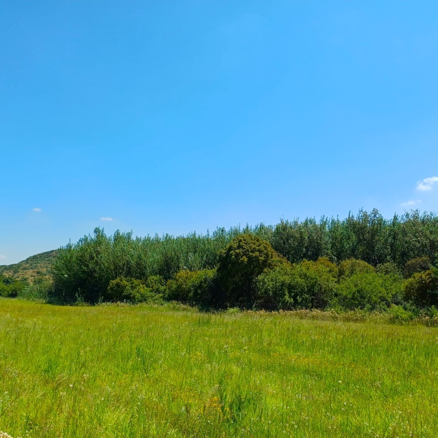 5 Bedroom Property for Sale in Sterkfontein A H Gauteng