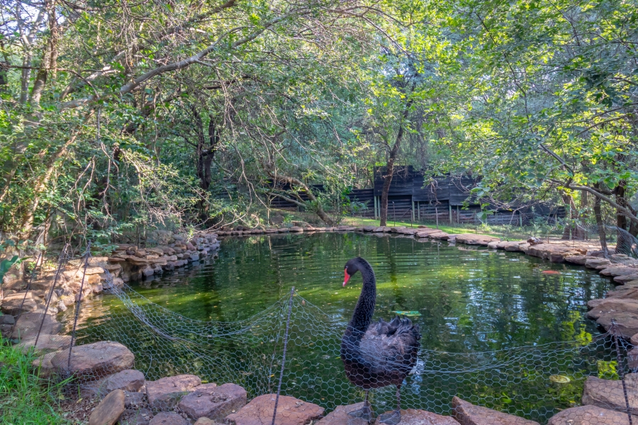 9 Bedroom Property for Sale in Hekpoort Gauteng