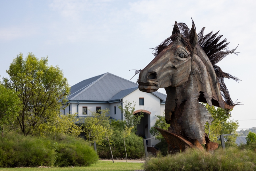 0 Bedroom Property for Sale in Steyn City Gauteng