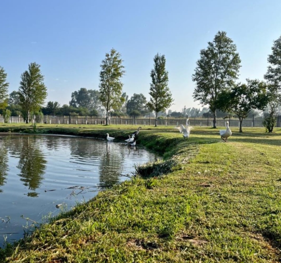 3 Bedroom Property for Sale in Riverspray Lifestyle Estate Gauteng