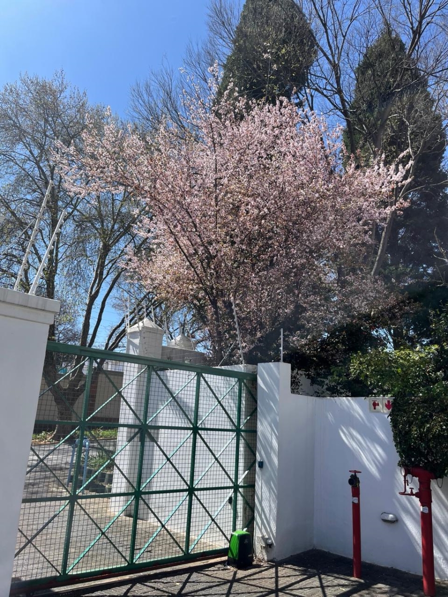 2 Bedroom Property for Sale in Dunkeld West Gauteng