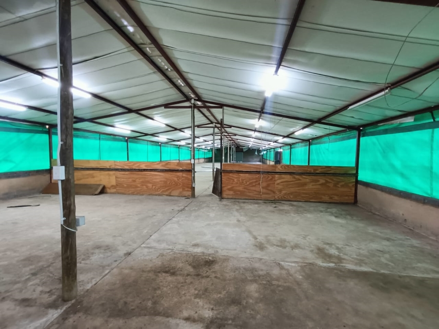 3 Bedroom Property for Sale in Rikasrus A H Gauteng