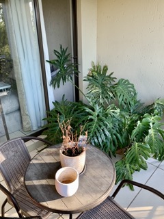 To Let 2 Bedroom Property for Rent in Cedar Hills Private Estate Gauteng