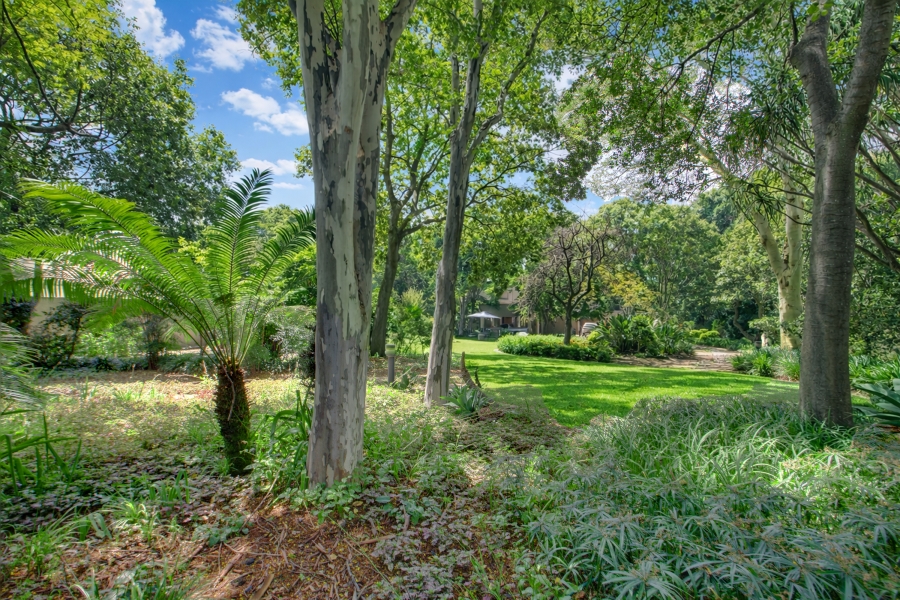 4 Bedroom Property for Sale in Bryanston Gauteng