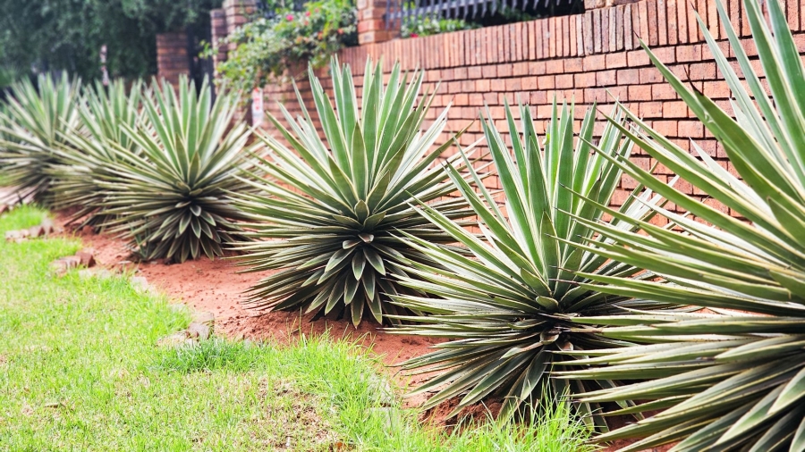 4 Bedroom Property for Sale in Florauna Gauteng