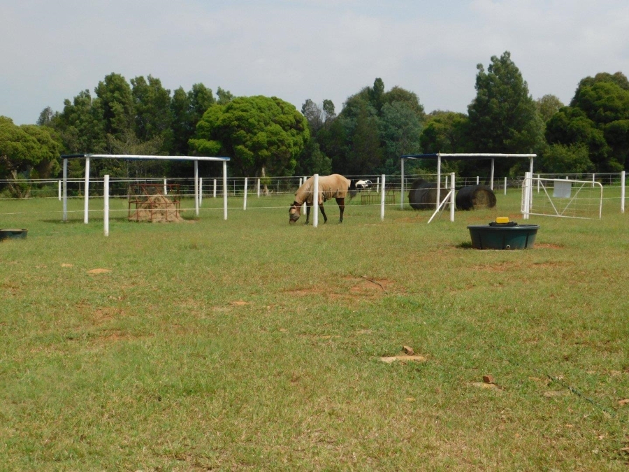 4 Bedroom Property for Sale in Hekpoort Gauteng