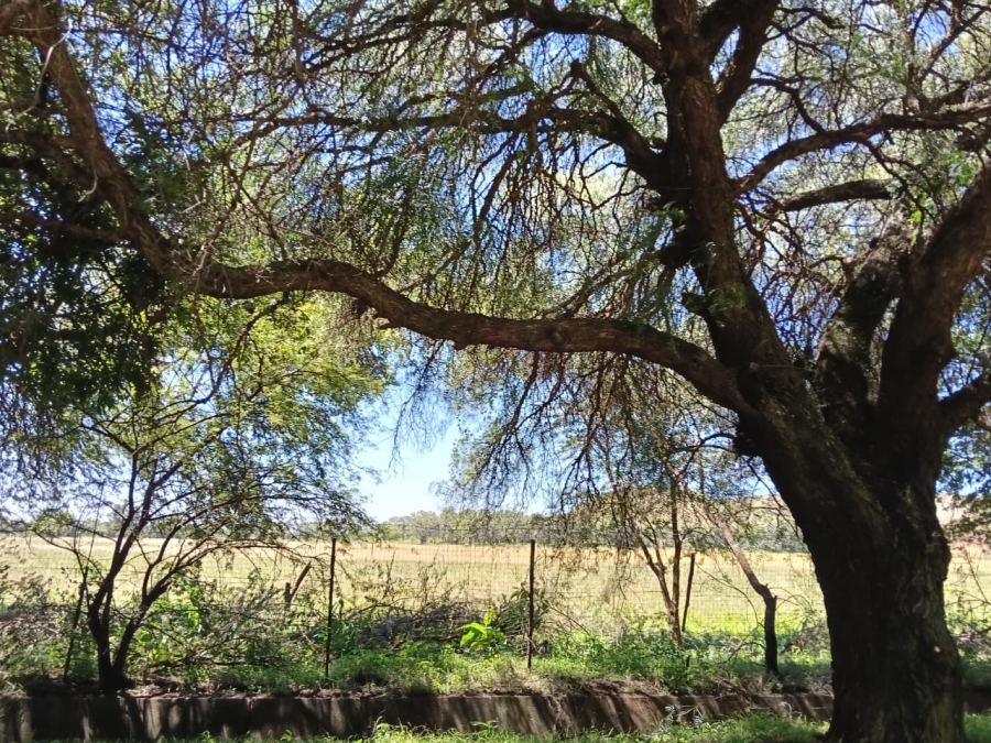 0 Bedroom Property for Sale in Glen Harvie Gauteng