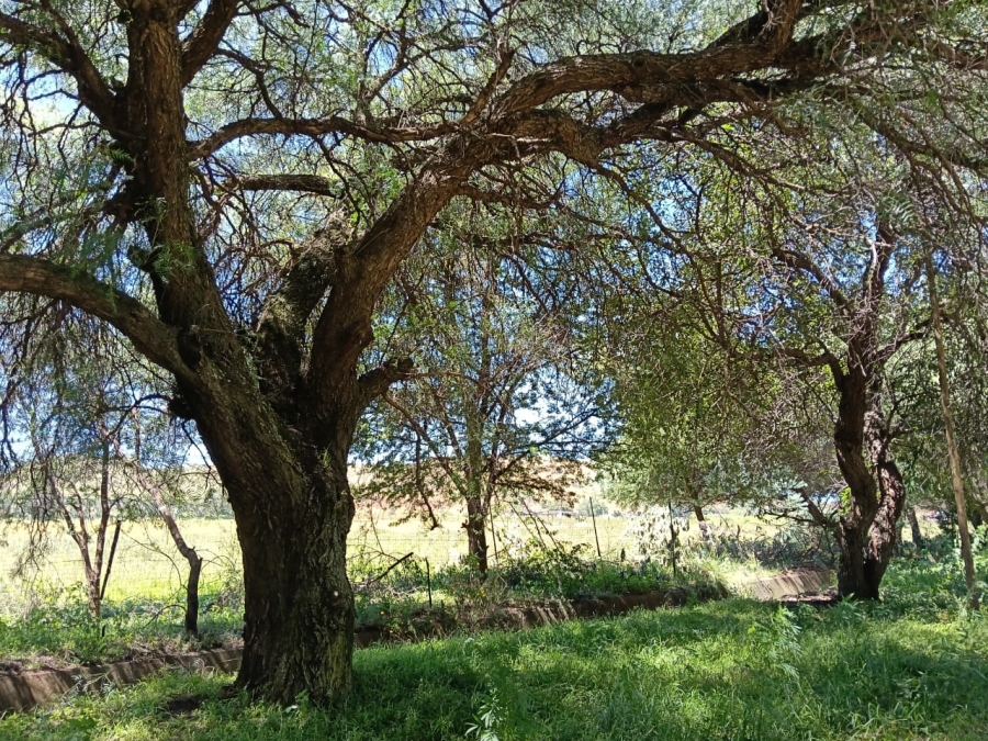 0 Bedroom Property for Sale in Glen Harvie Gauteng