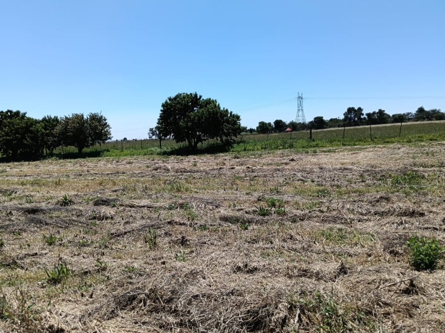 0 Bedroom Property for Sale in Glen Harvie Gauteng