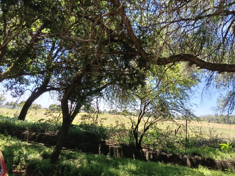 0 Bedroom Property for Sale in Glen Harvie Gauteng