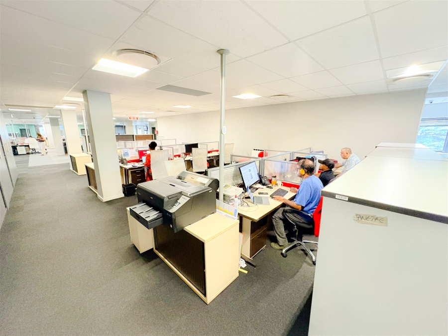 To Let commercial Property for Rent in Parktown Gauteng