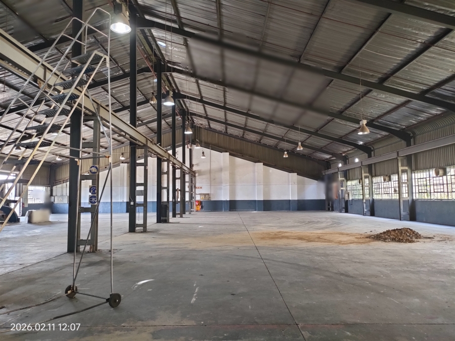 To Let commercial Property for Rent in Strijdom Park Gauteng