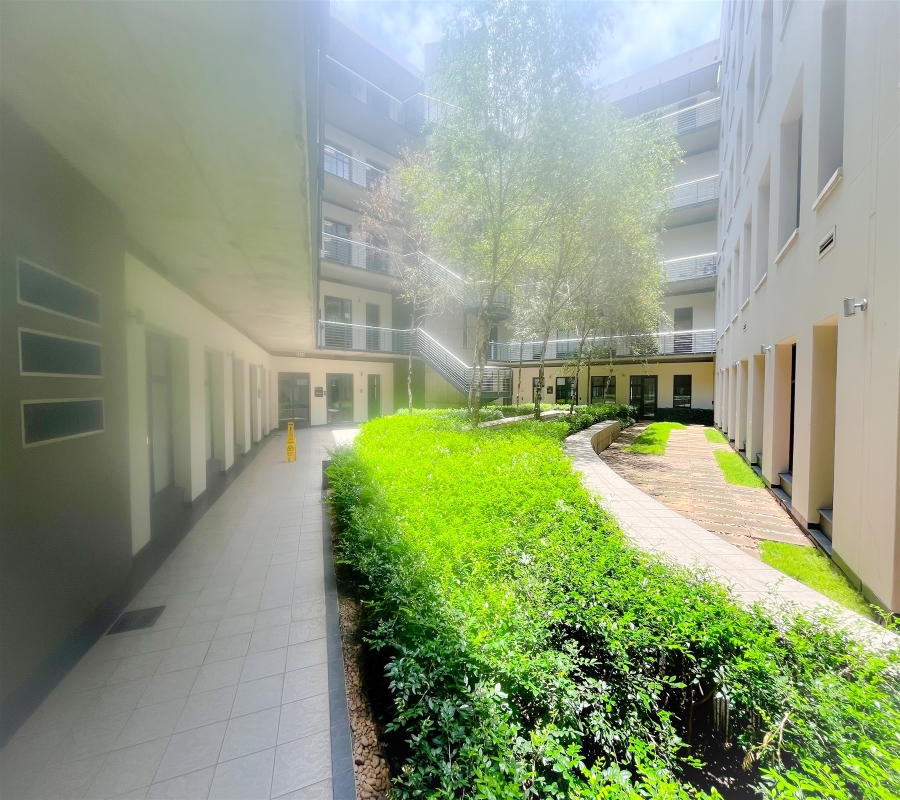 To Let commercial Property for Rent in Melrose Arch Gauteng