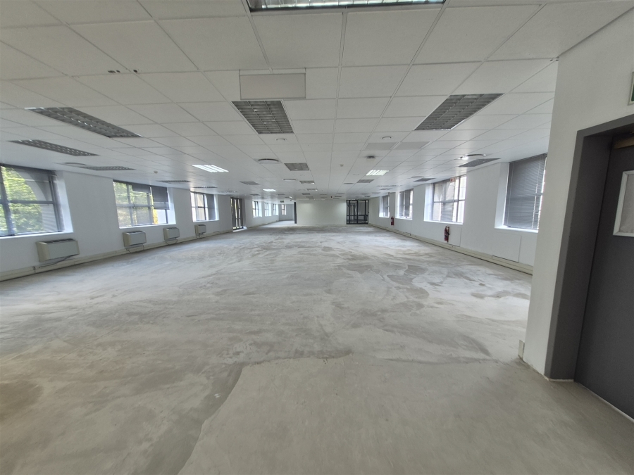 To Let commercial Property for Rent in Illovo Gauteng