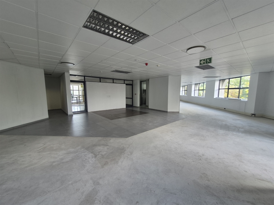 To Let commercial Property for Rent in Illovo Gauteng