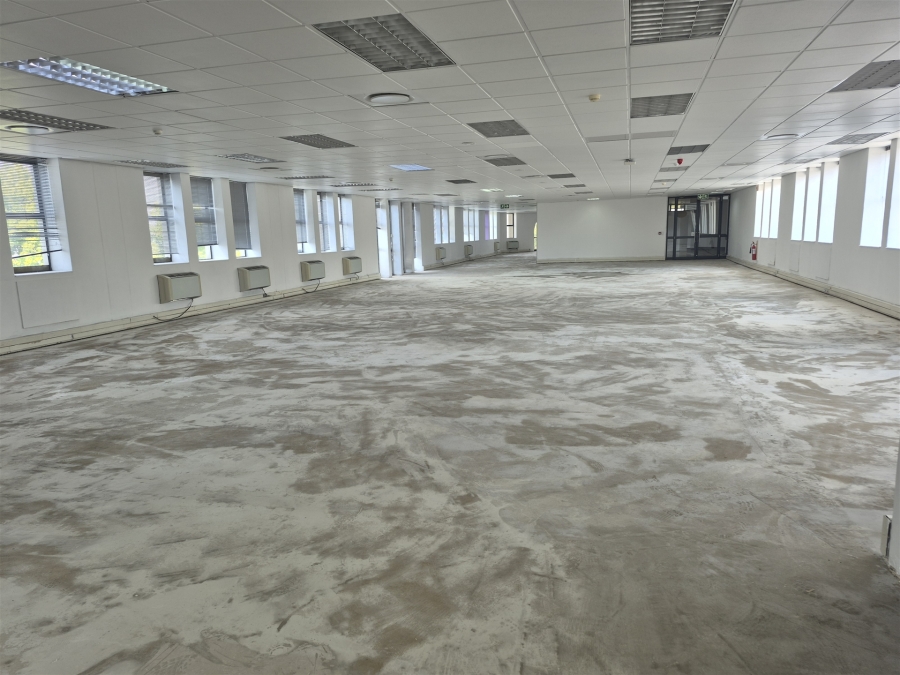 To Let commercial Property for Rent in Illovo Gauteng