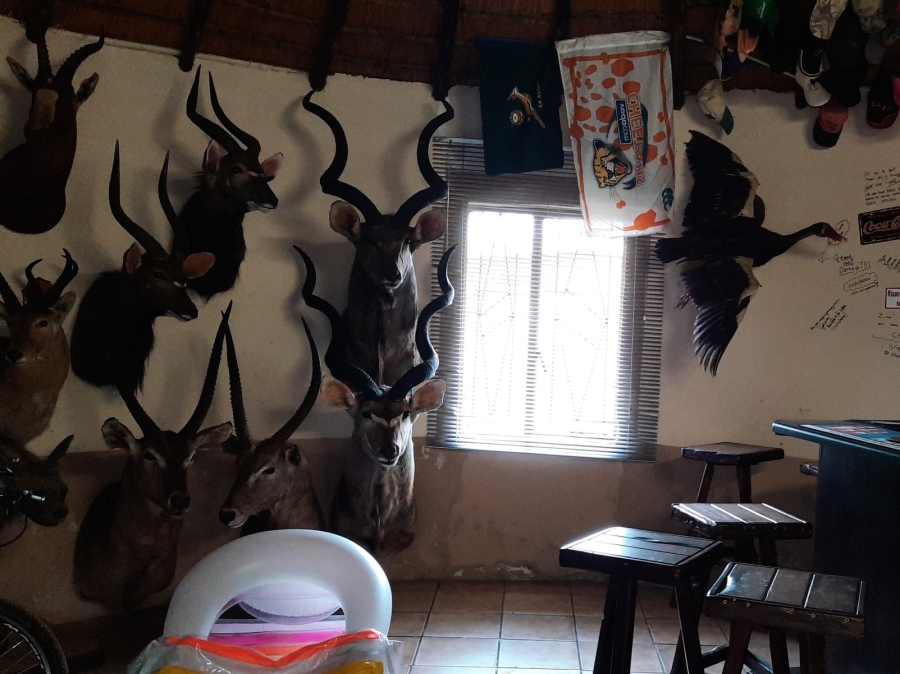 3 Bedroom Property for Sale in Vlakplaats Gauteng