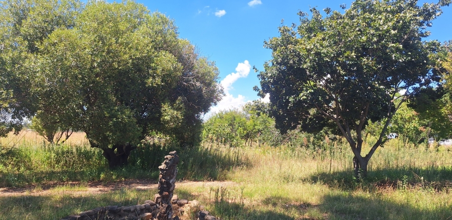 3 Bedroom Property for Sale in Vaalview Gauteng