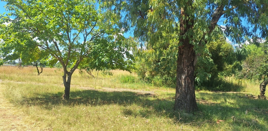 3 Bedroom Property for Sale in Vaalview Gauteng