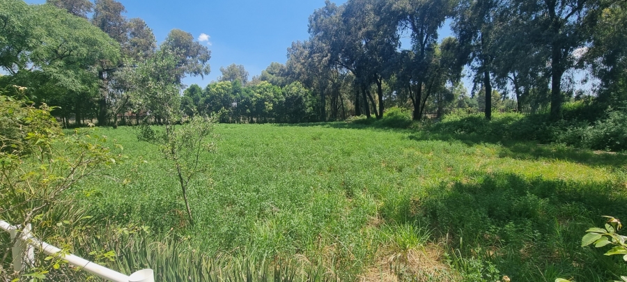 4 Bedroom Property for Sale in Althea Gauteng