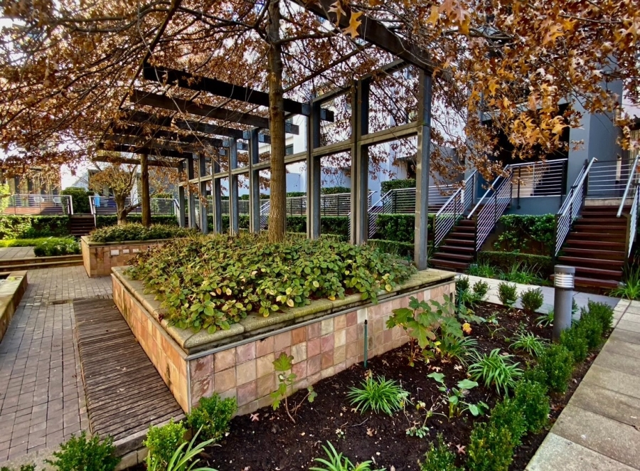 To Let 1 Bedroom Property for Rent in Melrose Arch Gauteng