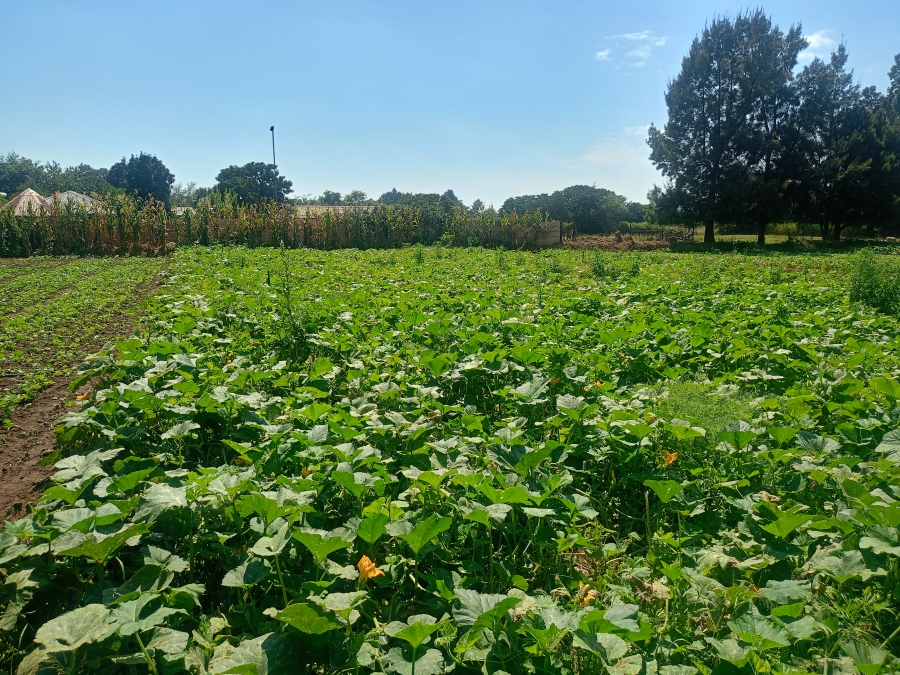 3 Bedroom Property for Sale in Unitas Park Gauteng