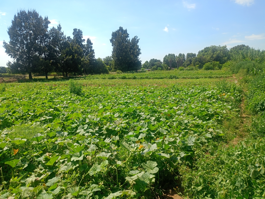 3 Bedroom Property for Sale in Unitas Park Gauteng