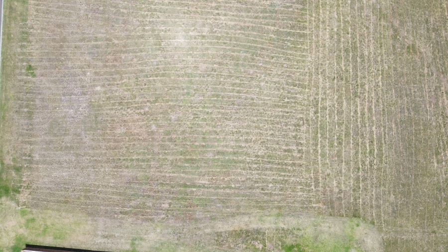 0 Bedroom Property for Sale in Berg En Dal Gauteng