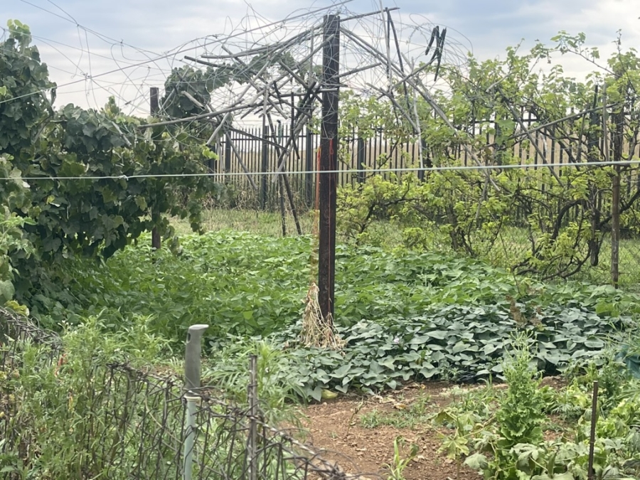 4 Bedroom Property for Sale in Drumblade A H Gauteng