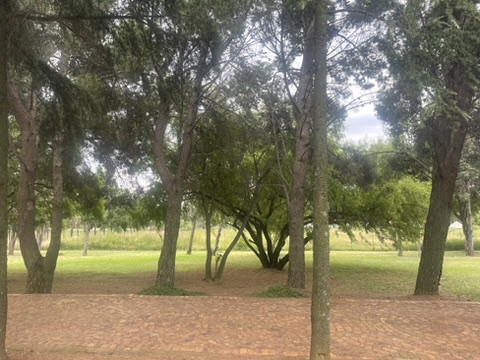 4 Bedroom Property for Sale in Drumblade A H Gauteng