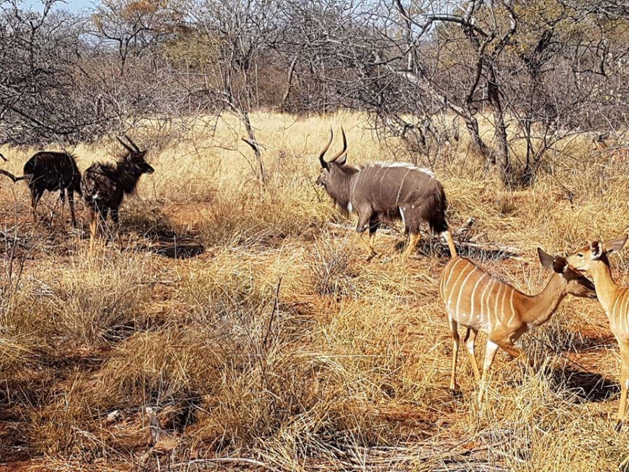 0 Bedroom Property for Sale in Sable Hills Gauteng