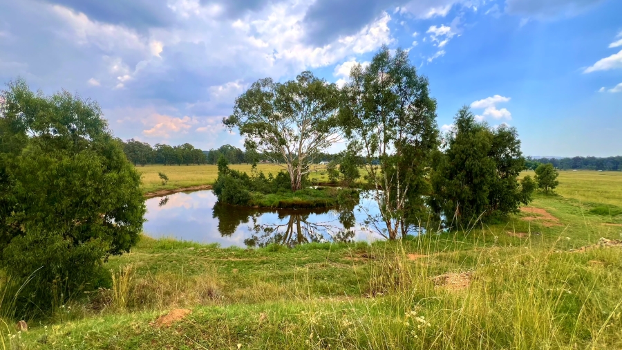 4 Bedroom Property for Sale in Walker Fruit Farms Gauteng