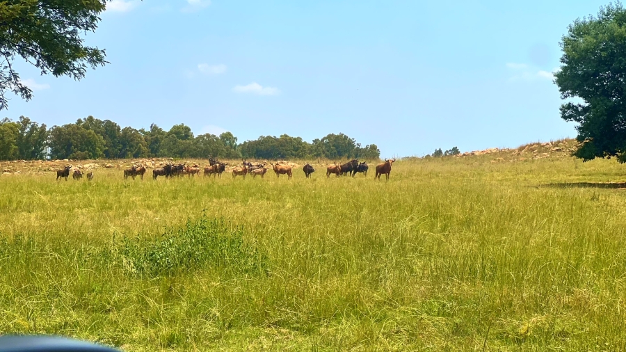 4 Bedroom Property for Sale in Walker Fruit Farms Gauteng