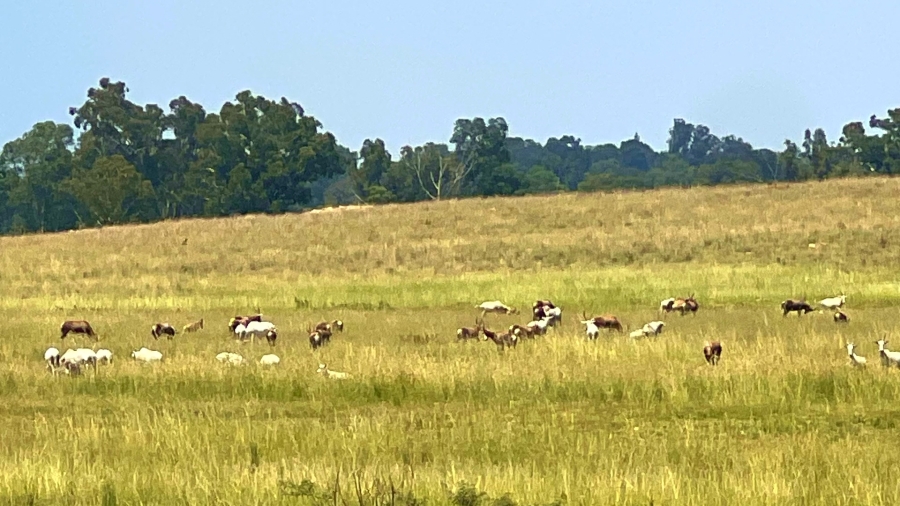 4 Bedroom Property for Sale in Walker Fruit Farms Gauteng