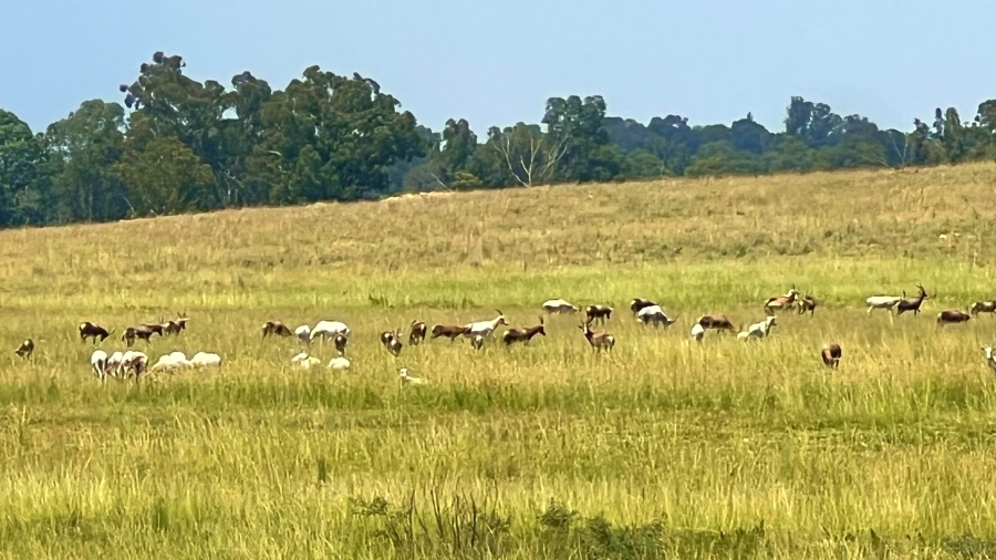 4 Bedroom Property for Sale in Walker Fruit Farms Gauteng