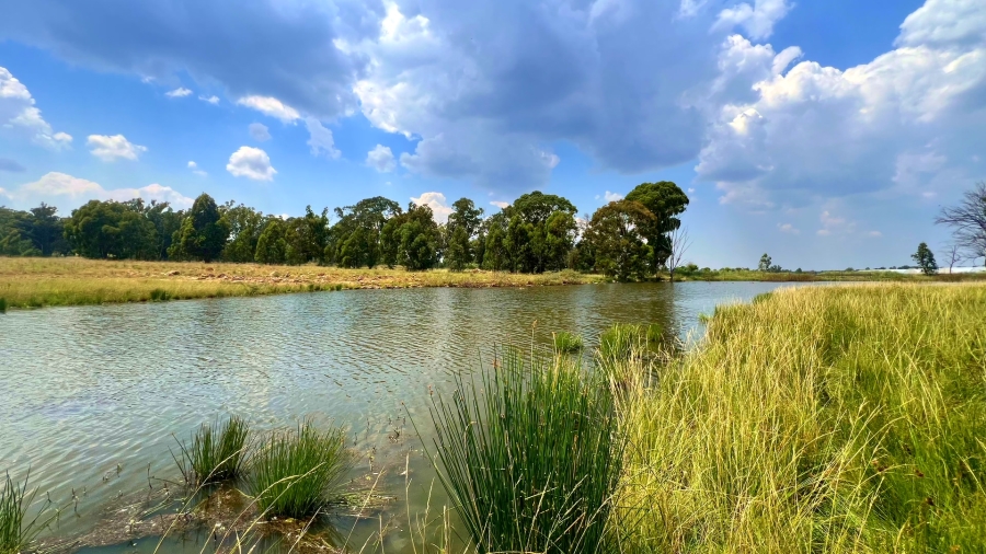 4 Bedroom Property for Sale in Walker Fruit Farms Gauteng